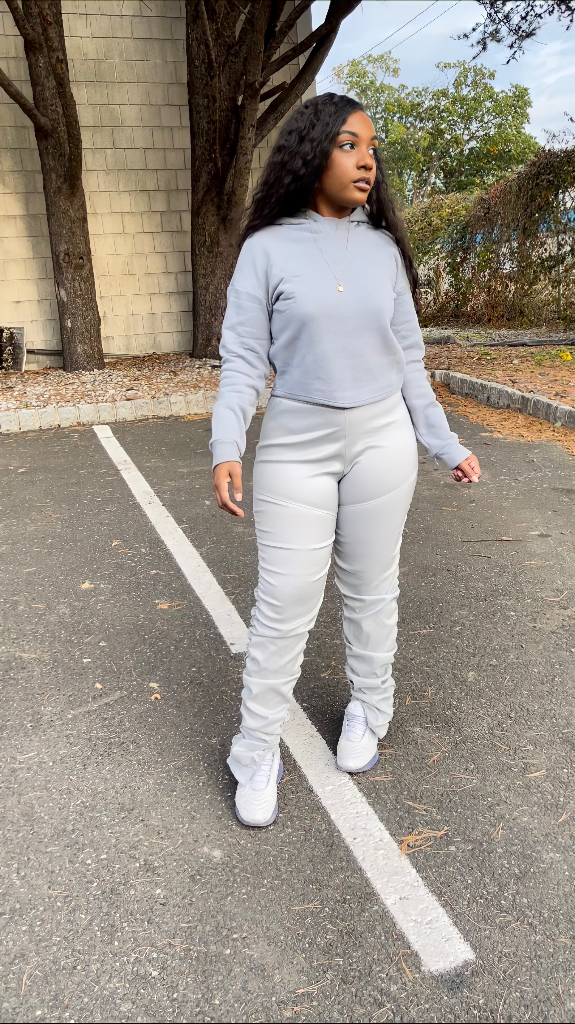 Shark Joggers